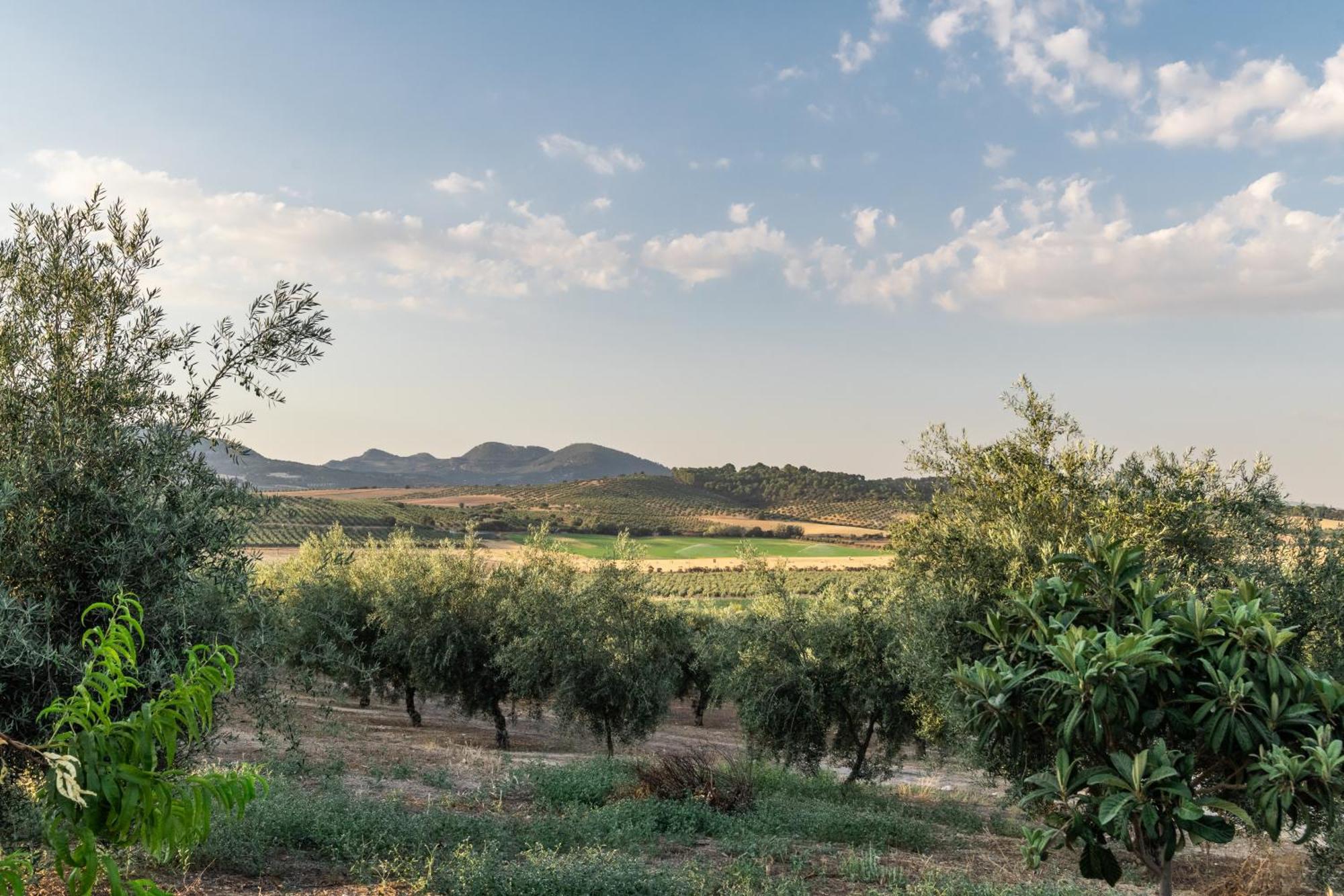 Casa Rural La Loma Γρανάδα Εξωτερικό φωτογραφία
